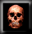 maya skull
