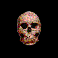 Animated skull 736K