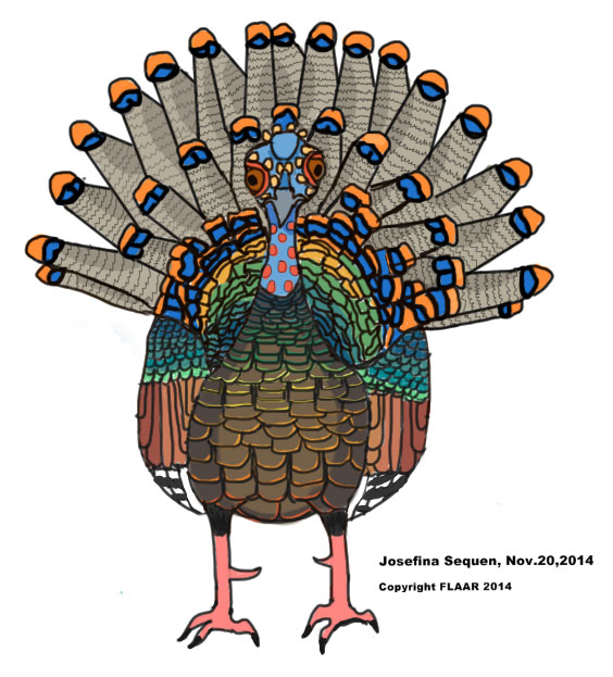Meleagris ocellata, occelated turkey Tikal FLAAR Report