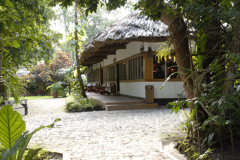 Jungle Lodge